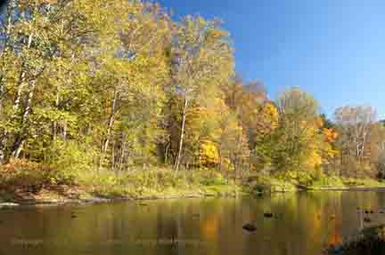Autumn leaves reflection - Cuyahoga Valley National Reserve, OH