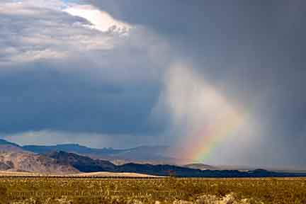 Dramatic clouds and rainbow - Joshua Tree National Park