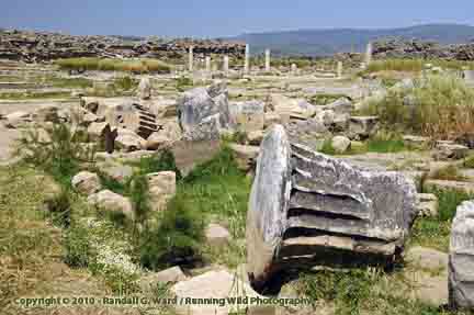 Magnesia ruins near Ortaklar, Turkey
